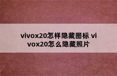 vivox20怎样隐藏图标 vivox20怎么隐藏照片